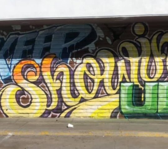 Reno Stronger